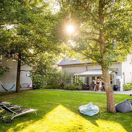 Niebieski Kamyk Łazy