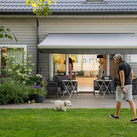 Niebieski Kamyk Łazy