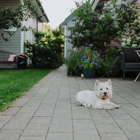 Feriehus Niebieski Kamyk Łazy