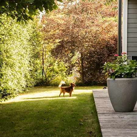 Niebieski Kamyk Prázdninový dům