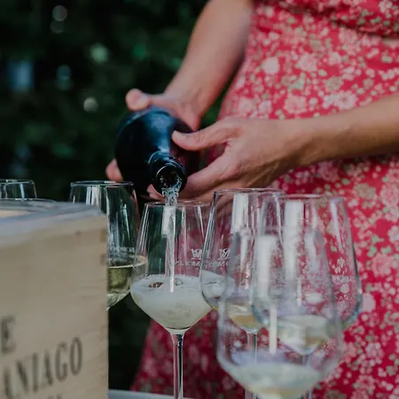 Niebieski Kamyk Łazy