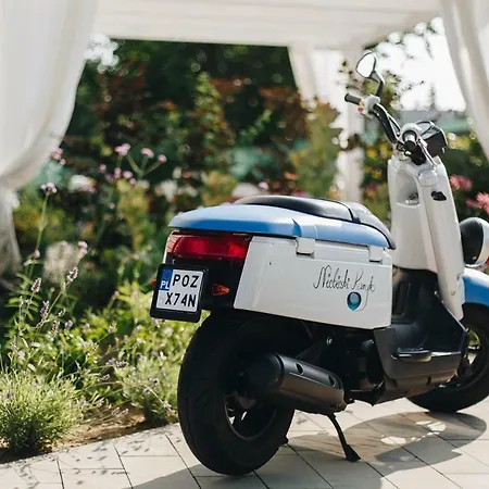 Hébergement de vacances Niebieski Kamyk Łazy