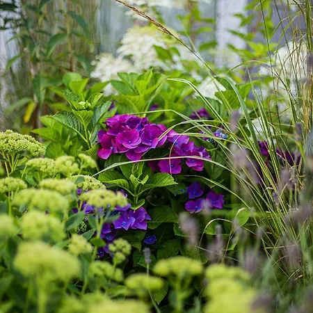 Niebieski Kamyk Feriehus Łazy