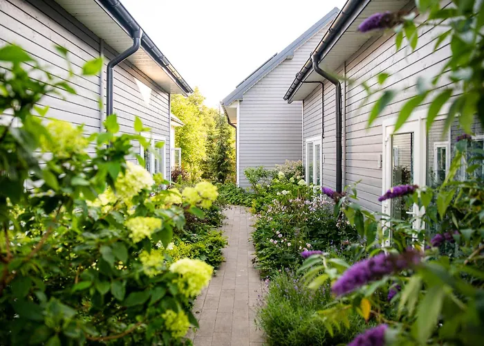 Niebieski Kamyk * Łazy