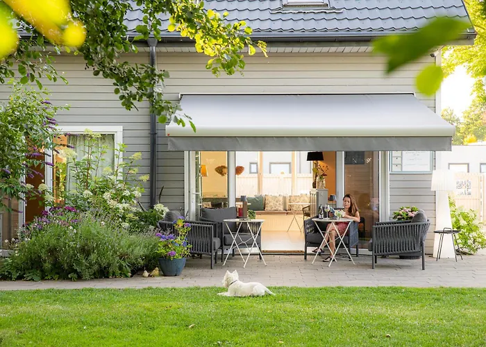 Niebieski Kamyk Łazy