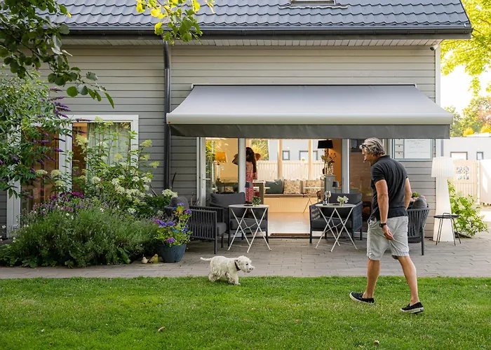 Niebieski Kamyk Łazy