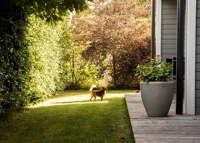 Niebieski Kamyk 別荘