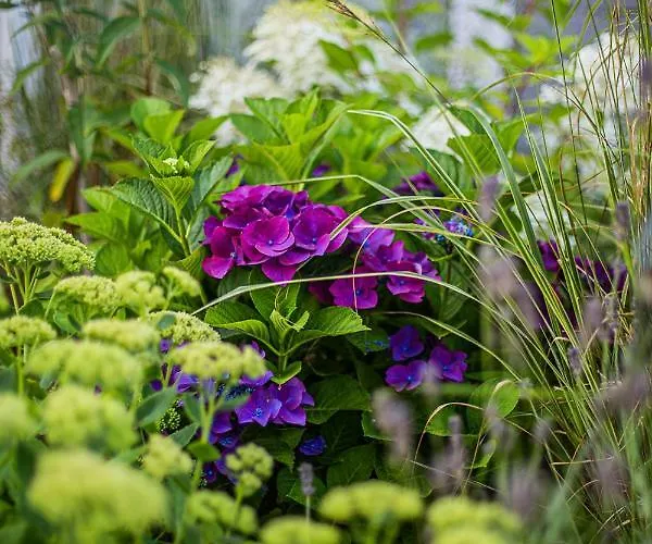 Niebieski Kamyk 別荘 Łazy